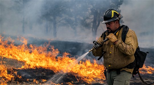 2022 BLM Fire Employee Photo Contest Category - Fuels Management