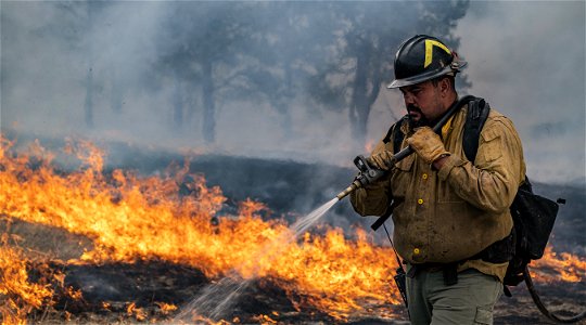 2022 BLM Fire Employee Photo Contest Category - Fuels Management photo