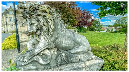 The Lions of Preston Hall.