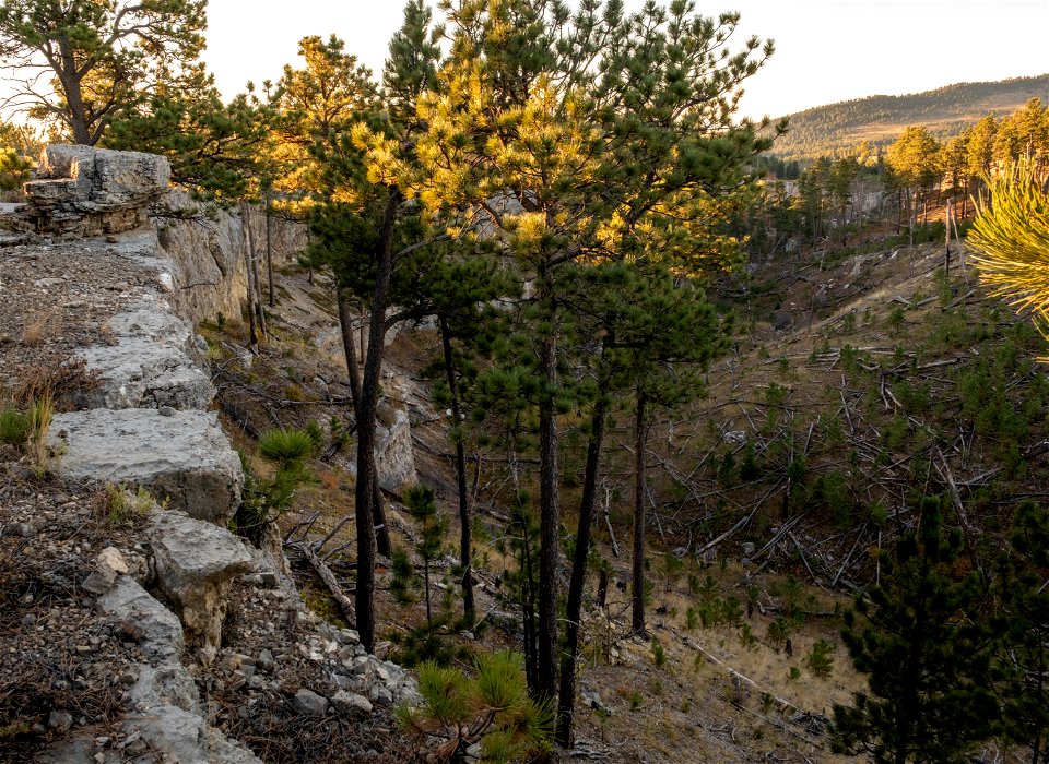 Rocky cliffs and trees