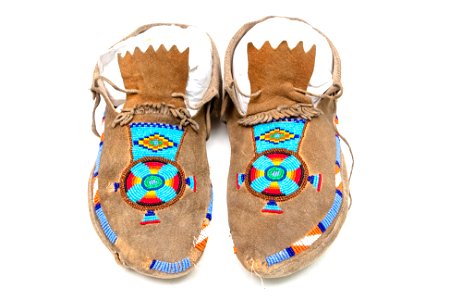 YELL 14750: moccasin photo