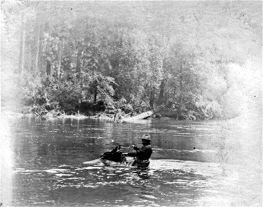 umpqua-nf---swimming-the-north-umpqua-river-c1910jpg_49385177598_o photo