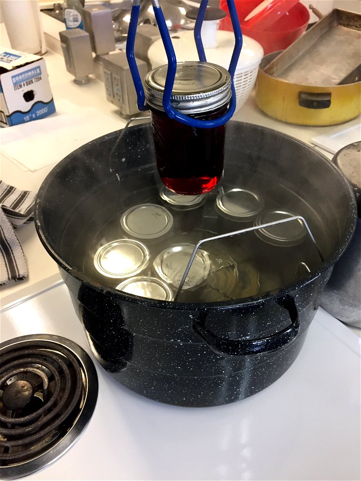 Removing grape jelly from boiling water canner photo