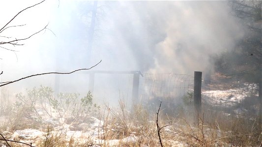 Charcoal Gulch Pile Burn, Idaho City photo