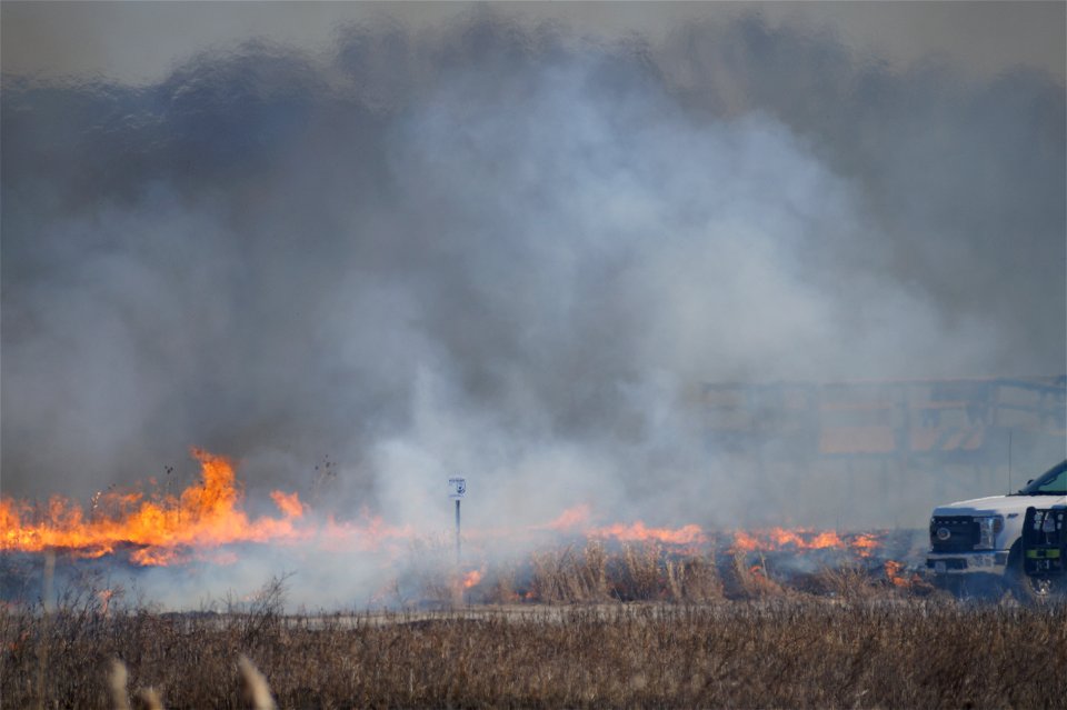 2021 USFWS Fire Employee Photo Contest Category: Fuels Management