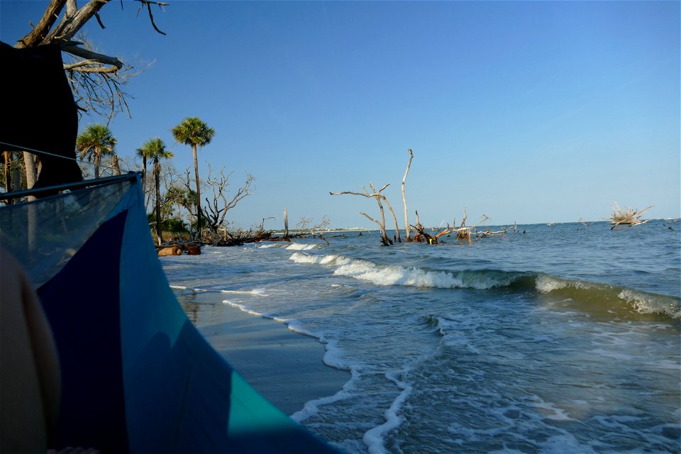 Hammock at high tide-P1950029