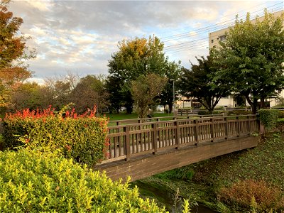 Shinyama Waterside Plaza in Shimosato, Higashikurume-shi in November