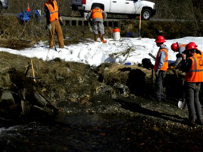 Toe-wood sod-mat bank restoration demonstration project (before) - Montana Creek, Juneau