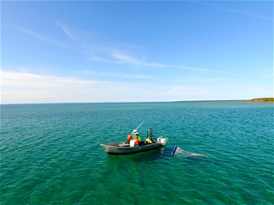 Larval Fish Sampling in Thunder Bay photo