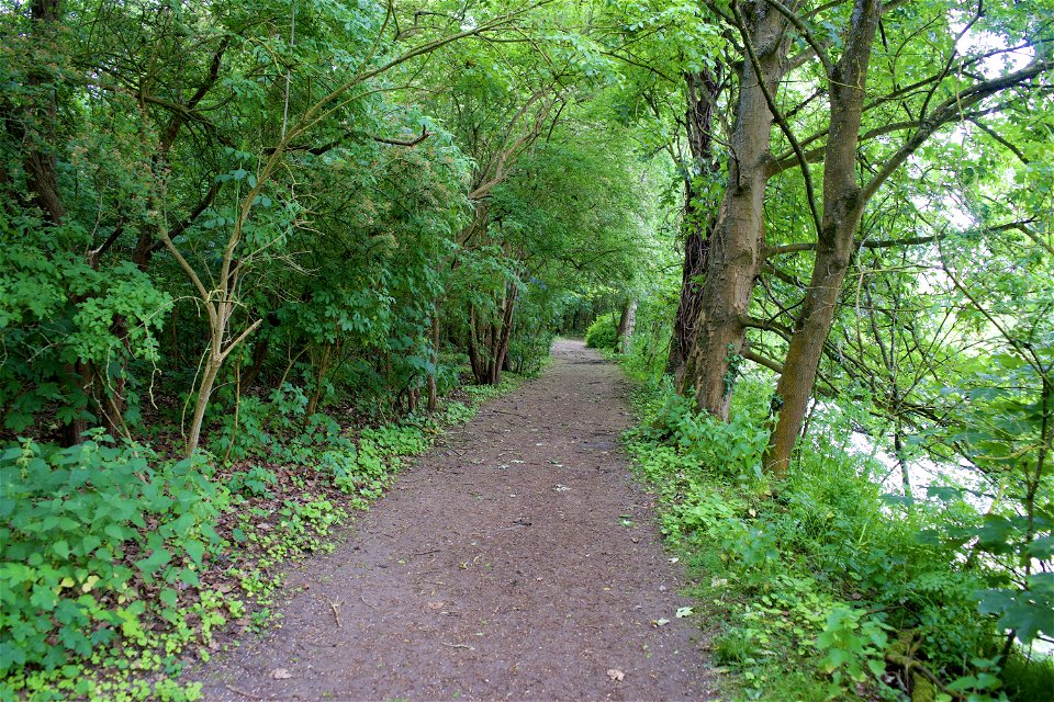 Riverside Path