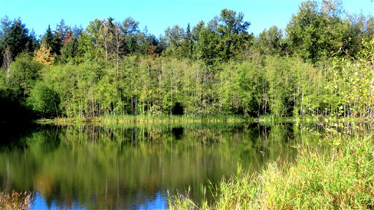 Green Timbers Urban Forest Park