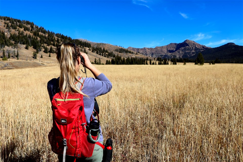 Hiker looks for wildlife along the Pebble Creek Trail (1)