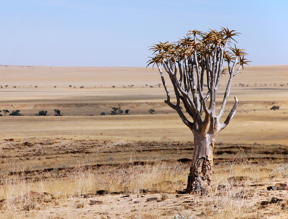 Namibia africa the skyline