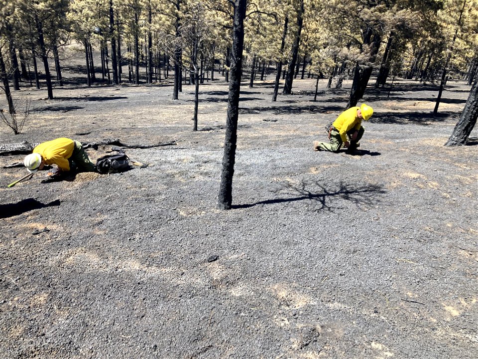 TunnelFireBAER_20220430_robballardanddanboneassessburnseveritywestofSunsetCraterNM_DickFleishman