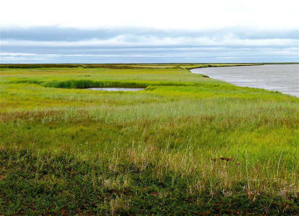 Wetland, Old Chevak, Alaska