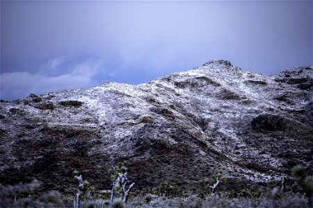 Mist and snow over Joshua trees and mountains photo