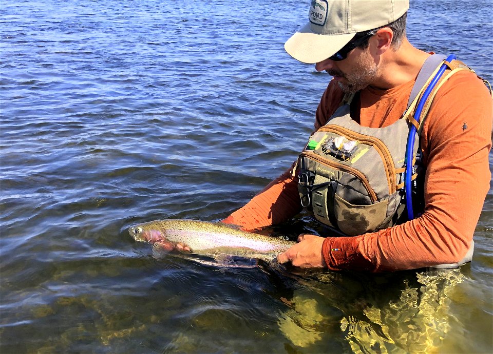 Fly Fishing photo