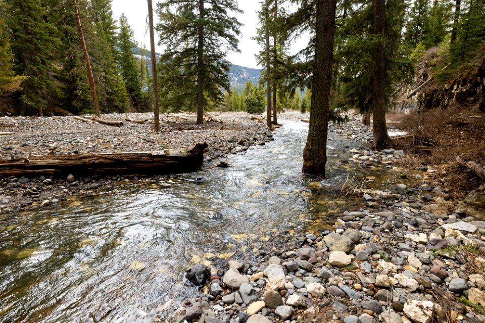 Pebble Creek flow post flood