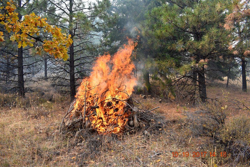 Pile burning smoke on the Mt. Hood National Forest in 2019 - brush