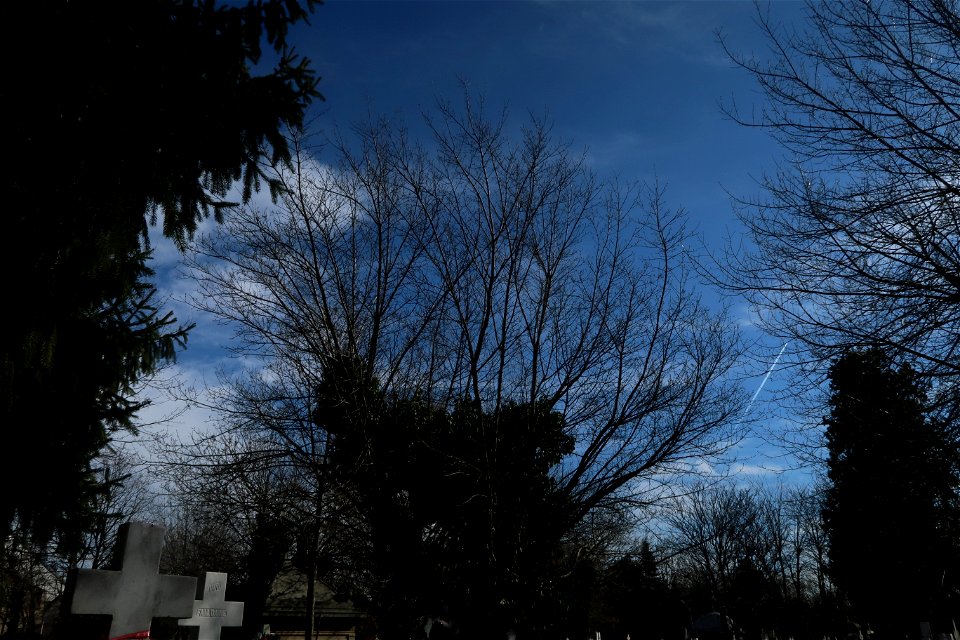 nori_clouds_nubes-2023_0221_123947