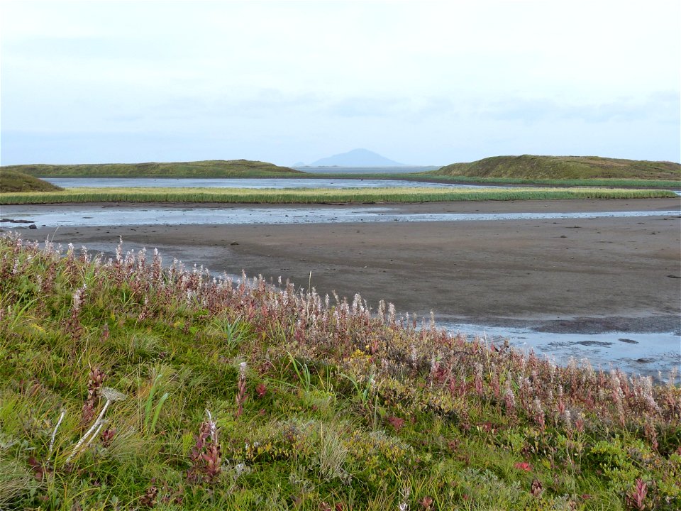 Fall colors at Izembek