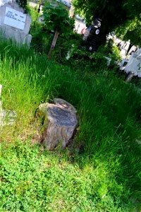 Sfanta-Vineri_cemtery- (8)
