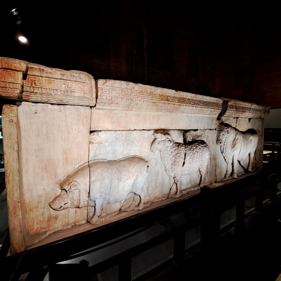 Animals for Sacrifice Plutei of Trajan Roman Forum Rome Italy