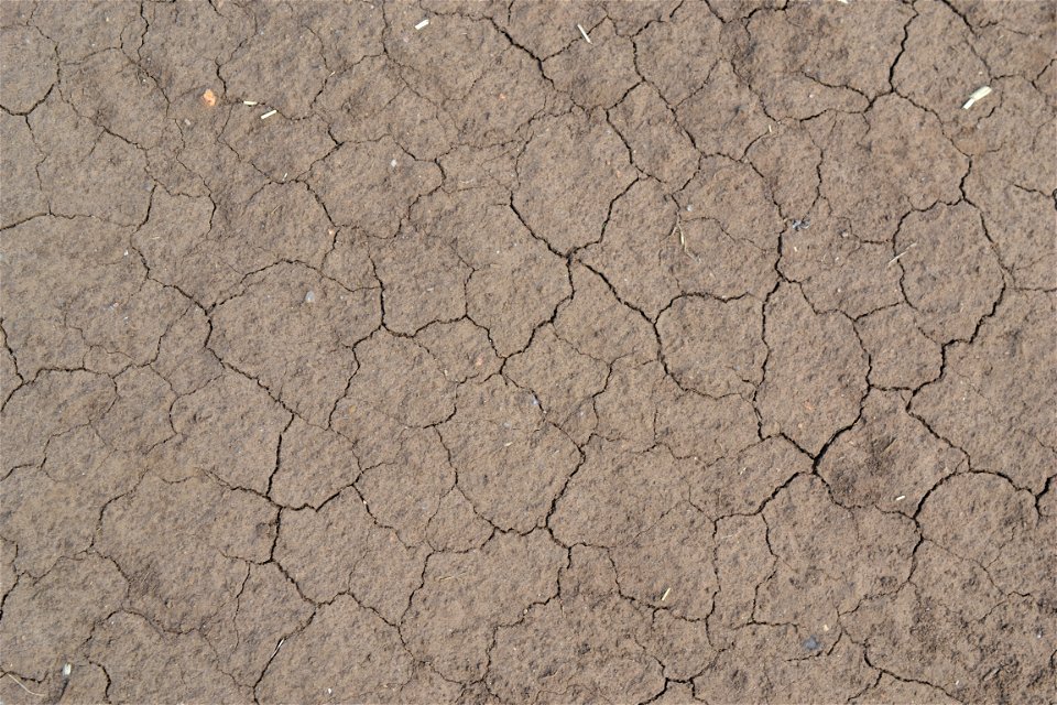 Free textures with cracks
