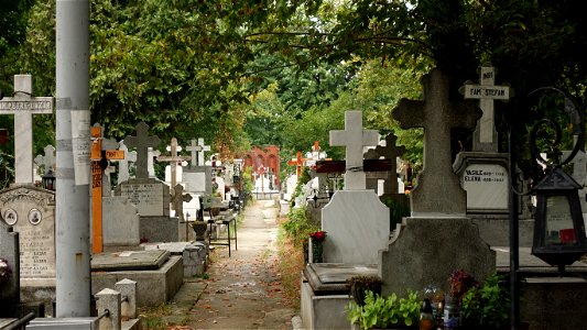 DSC06615