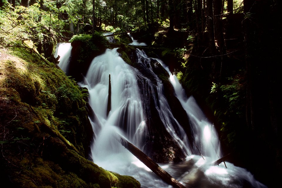 Mt Hood National Forest, Little Zigzag Falls.jpg