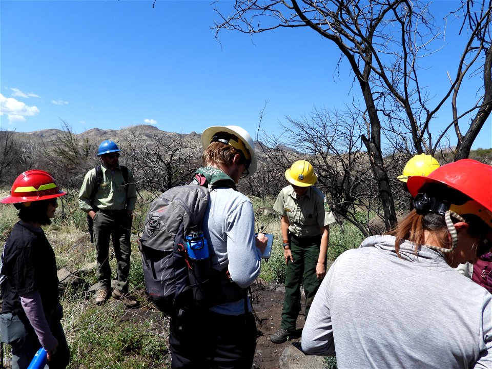 Fossil Creek Soil Monitoring photo