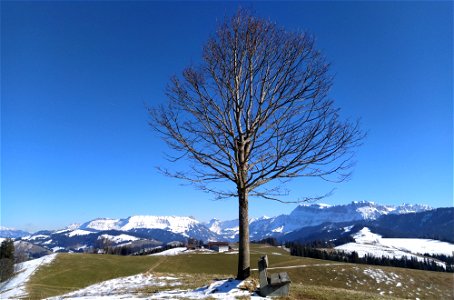 IMG_20220227_144328
