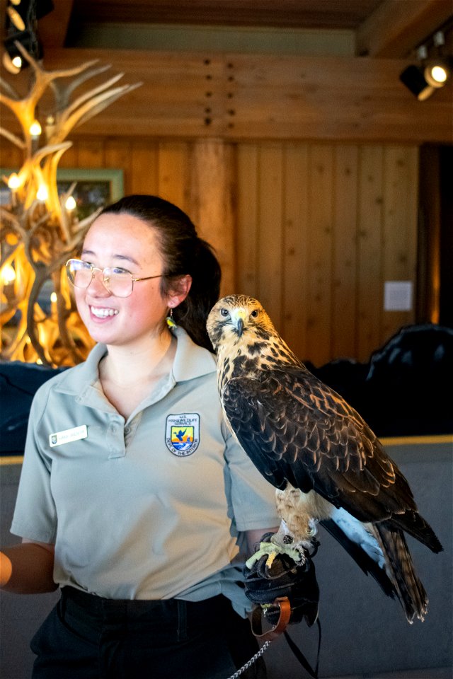 Refuge Educator with a Juvenile Swainson's Hawk