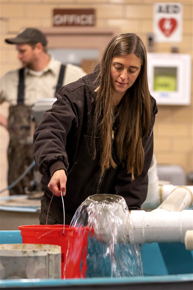 Fish Hatchery Work