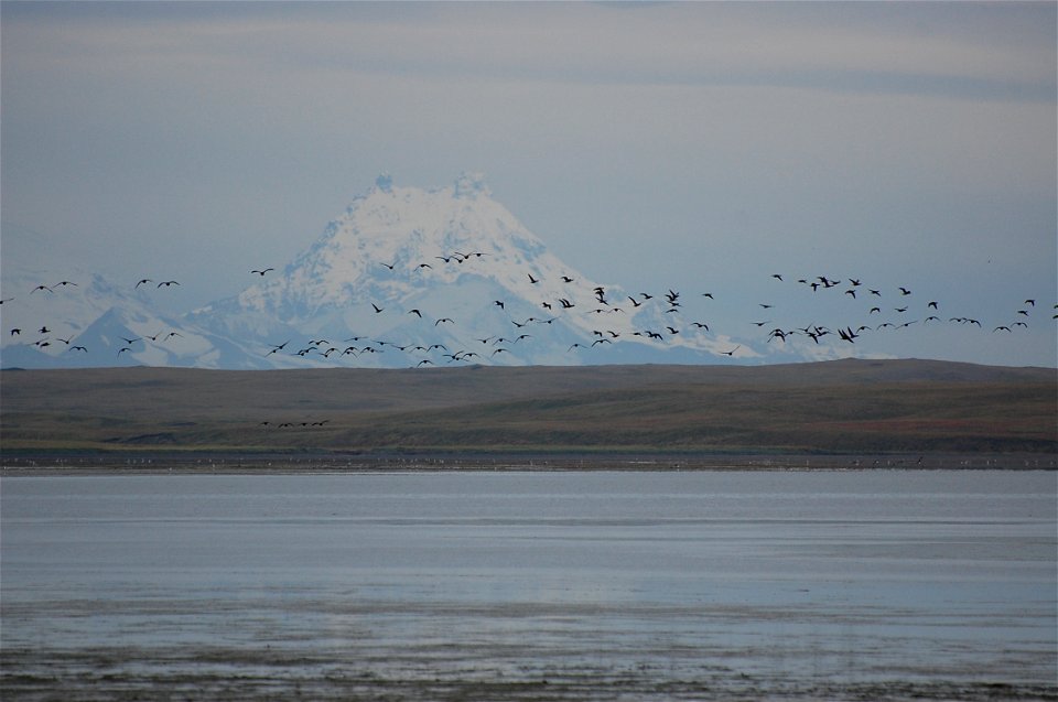 Brant & Isanotski Volcano