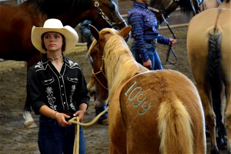 Northern Utah Wild Horse & Burro Festival - 2022 photo