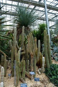 Hantaek Botanical Garden