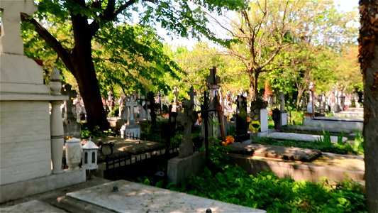 cimitir Sfanta Vineri (2)