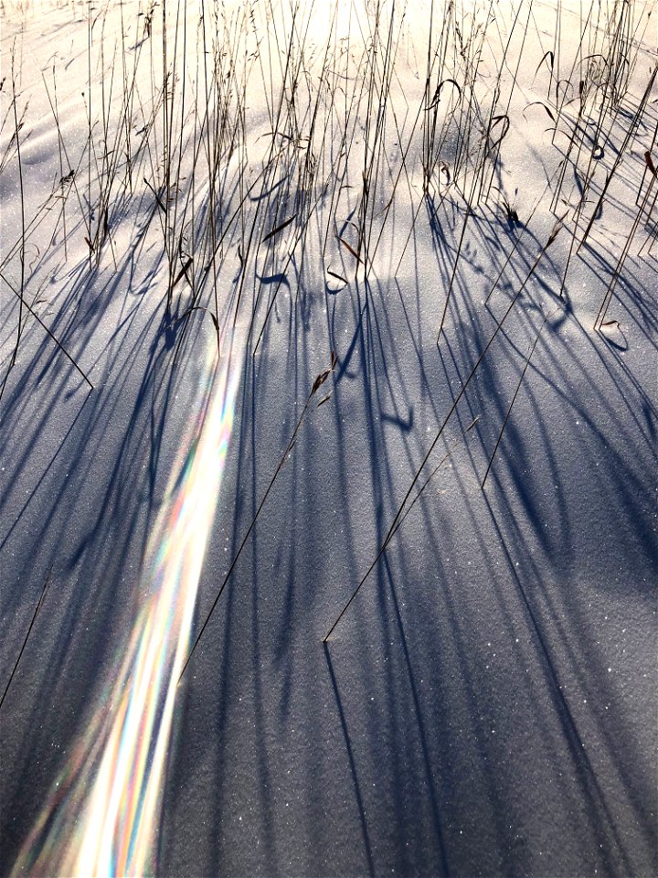 Long Morning Shadows and a Spray of Light