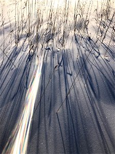 Long Morning Shadows and a Spray of Light