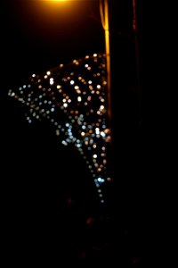 DSC08730