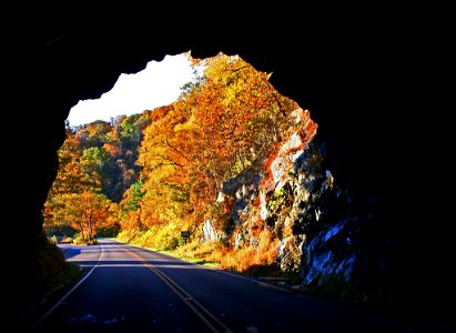 Fall Colors through Marys Rock Tunnel photo