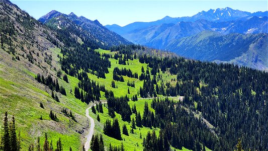 HART PASS - SLATE PEAK (07-19-2022) okanogan co, wa -21 photo