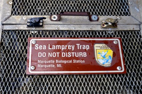 Sea Lamprey trap photo