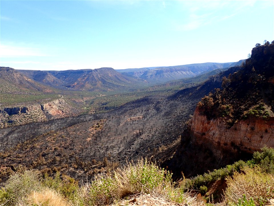 Calf Pen and Sandrock canyons