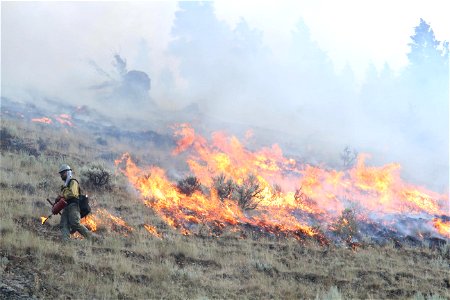 Moose Fire, Alta IHC