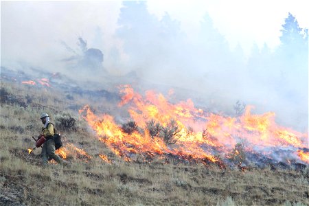 Moose Fire, Alta IHC photo