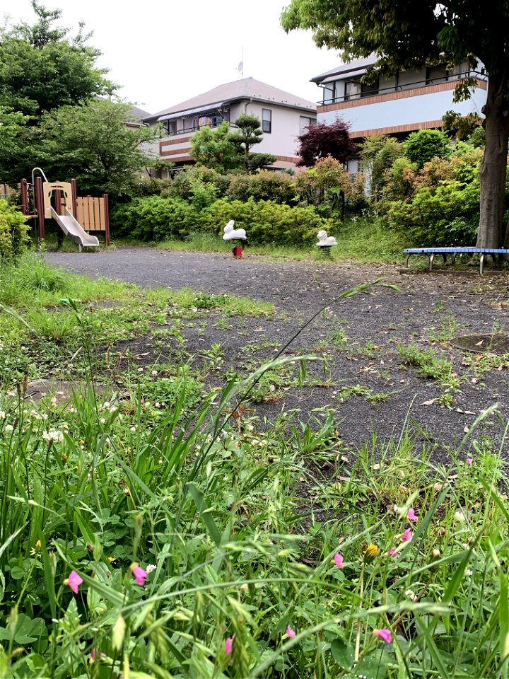 Park in Higashikurume-shi