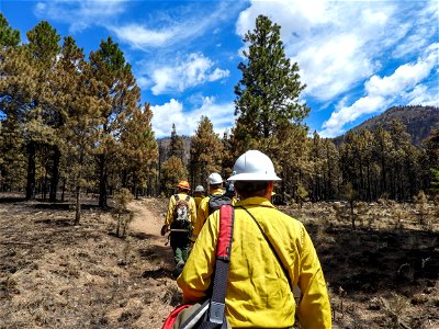 Burned Area Emergency Response media briefing