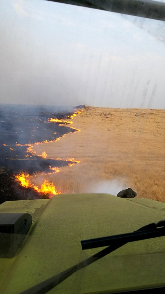 2021 BLM Fire Employee Photo Contest Category: The Land We Protect